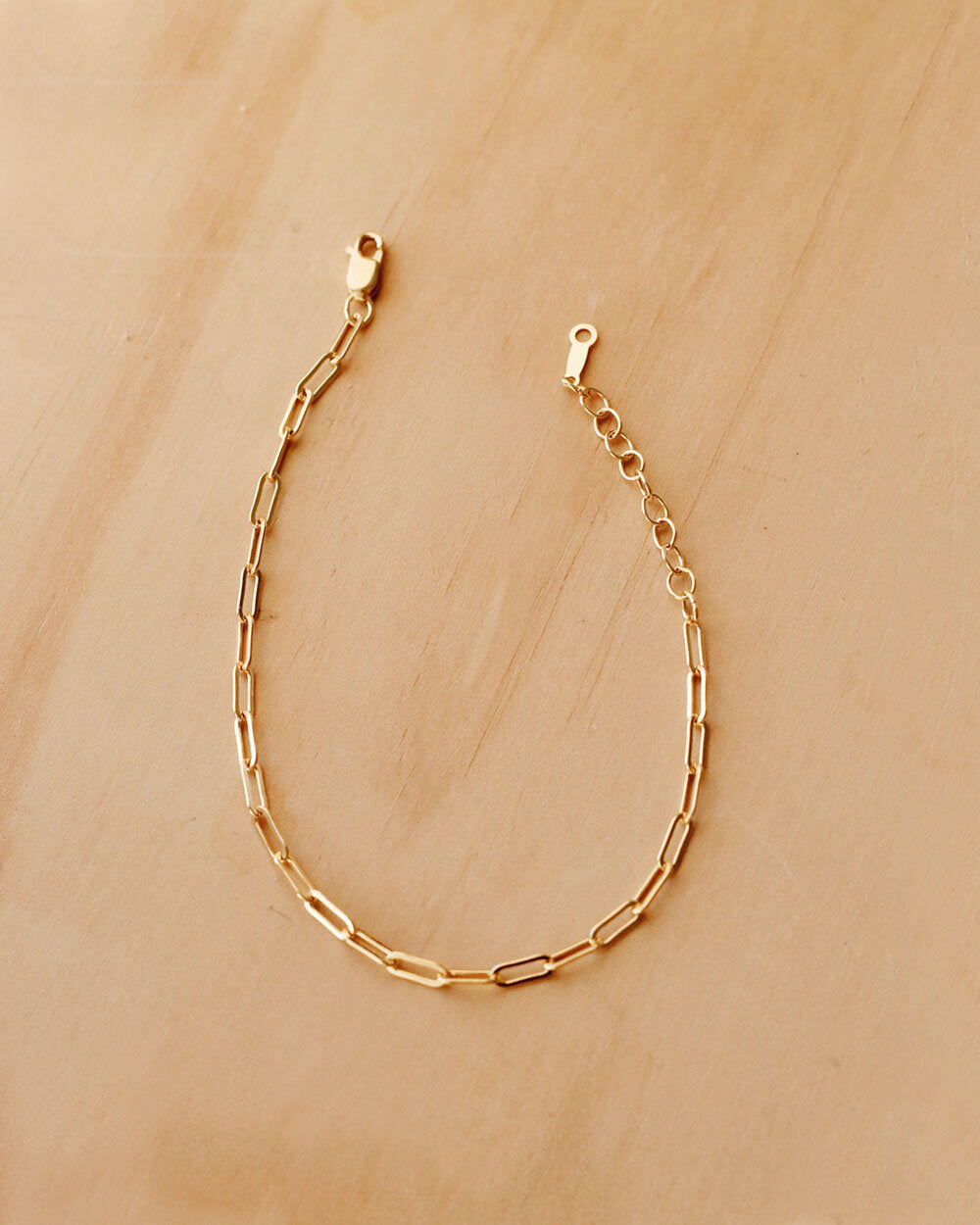 B1018 - Gold Filled Bracelet/Anklet
